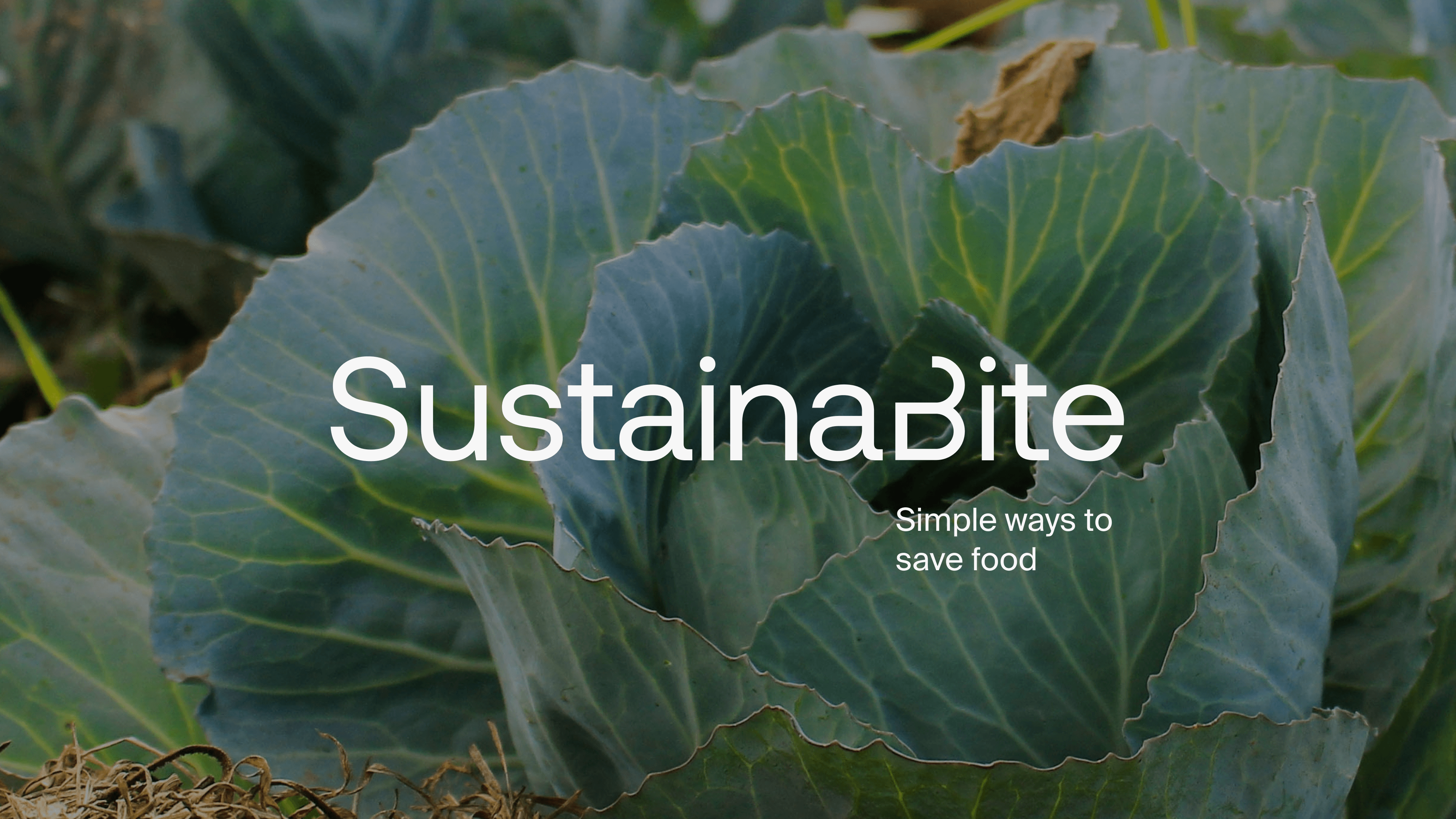 sustainabite brand image